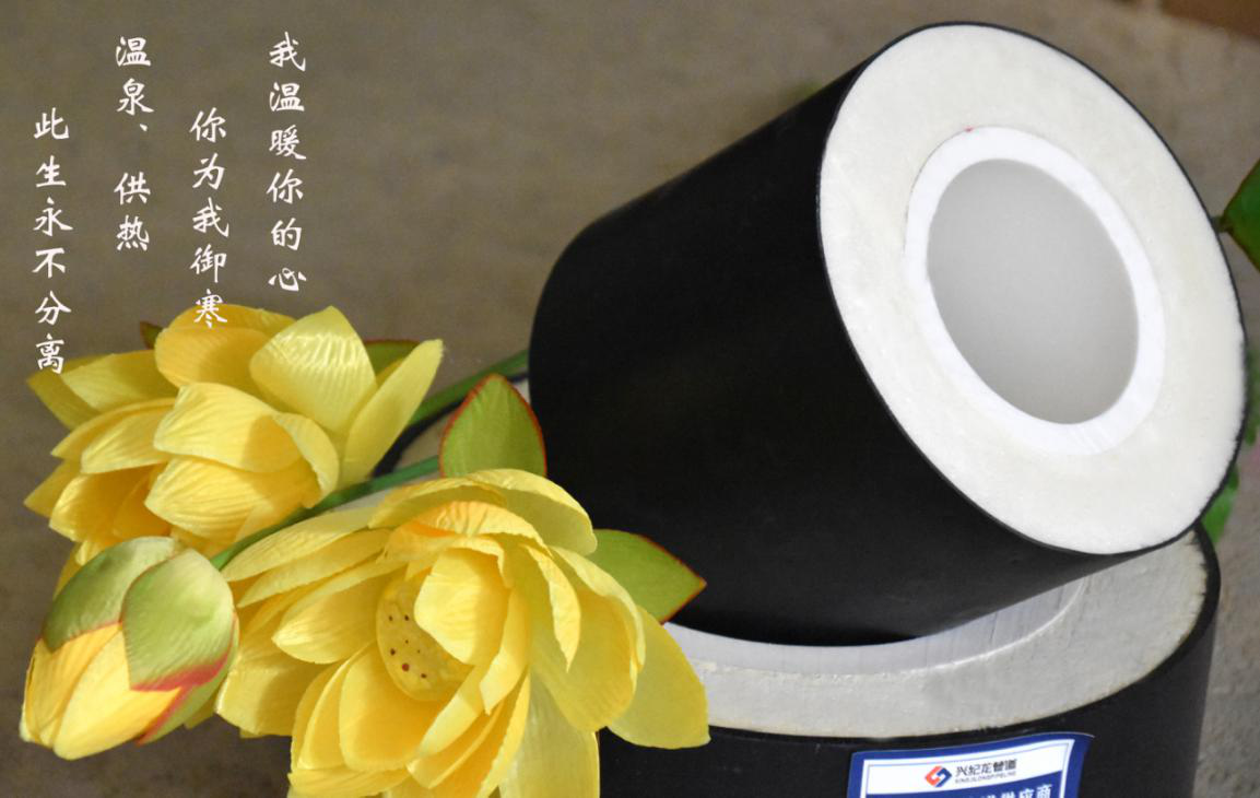 “興（xìng）紀龍”pe-rtII型溫泉管